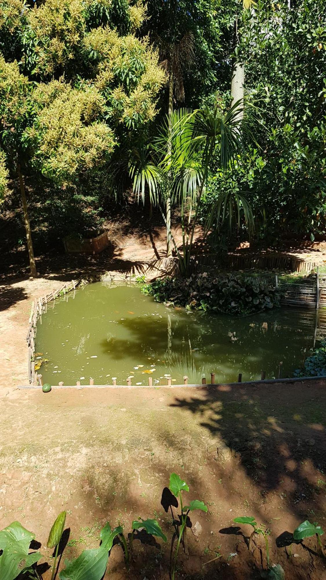 Chales Magia Das Aguas Águas de Lindóia Dış mekan fotoğraf